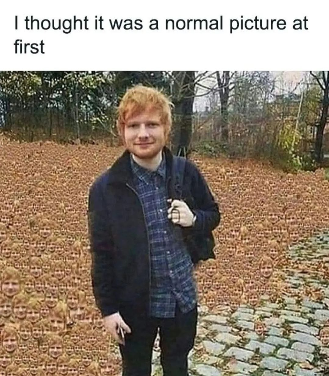 Sheeran Splatting
